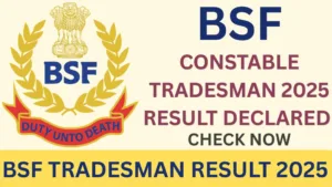 BSF TRADESMAN RESULT 2025